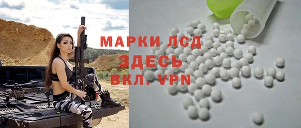 стаф Аркадак