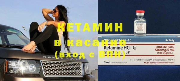 стаф Аркадак