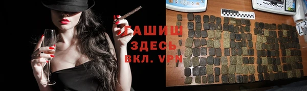 стаф Аркадак