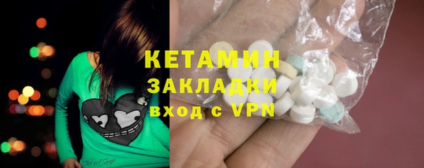 стаф Аркадак