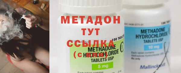 стаф Аркадак