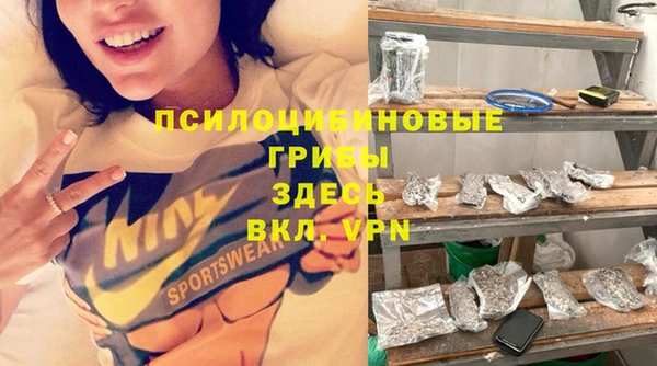 стаф Аркадак