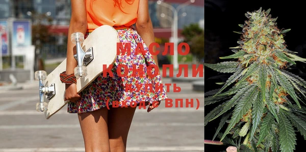 стаф Аркадак