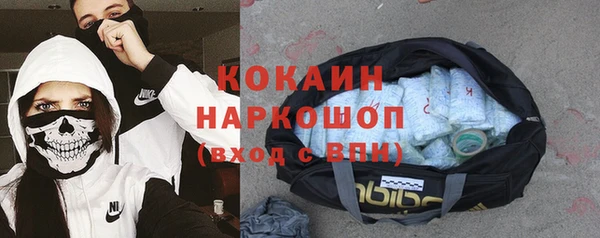 стаф Аркадак