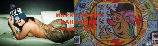стаф Аркадак