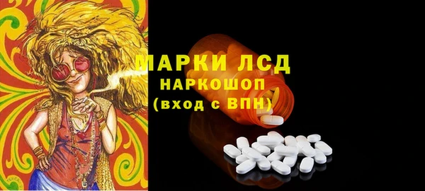 стаф Аркадак