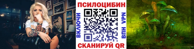 купить закладку  Тихвин  мега   Псилоцибиновые грибы GOLDEN TEACHER 